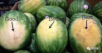 梦见切瓜自己吃