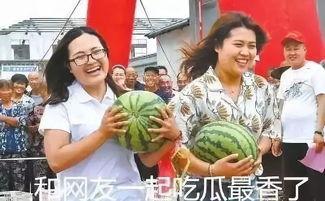 包总吃瓜,揭秘娱乐圈幕后风云