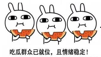 祝你吃瓜最甜