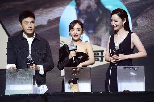 短剧圈吃瓜合集来了,吃瓜合集来了，揭秘幕后故事