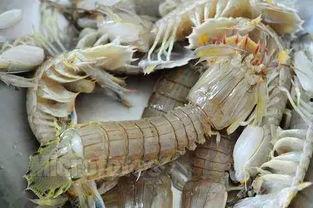 吃瓜莱阳,揭秘当地美食文化之旅